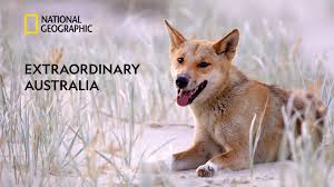 Extraordinary Australia