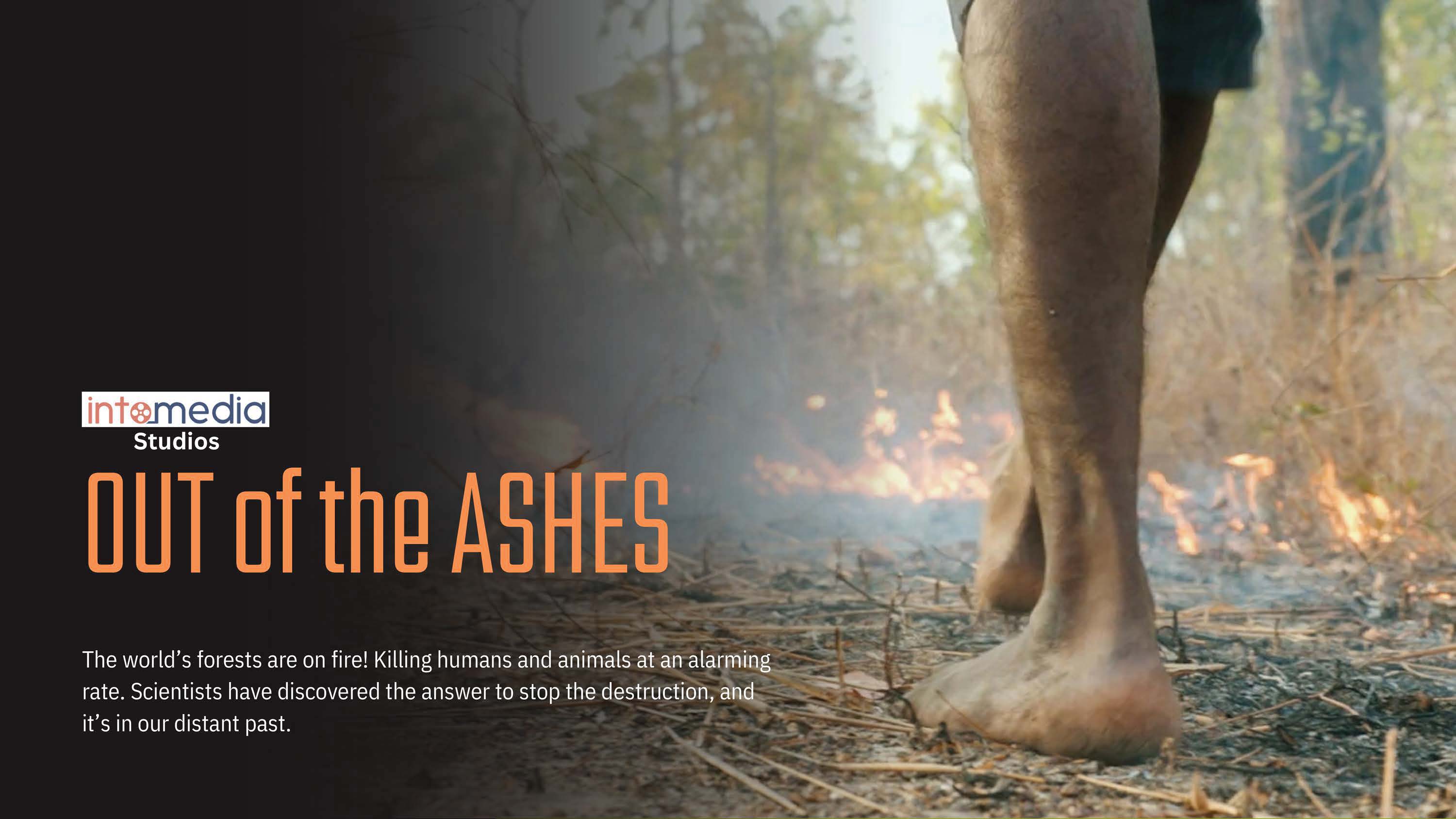 Out of the Ashes